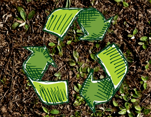 MFR_InternalPageGreen_14