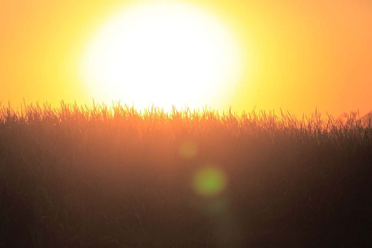 sun